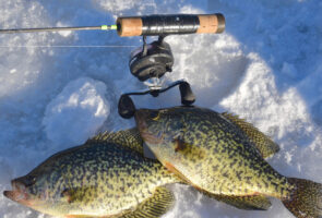 Crappies caught on hard baits tend to run larger