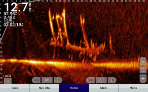 With regular sonar your boat must be moving to work properly. But live-imaging sonar produces real-time images even when your boat is sitting still, allowing anglers to more easily pinpoint brush piles. (Photo by Brad Wiegmann)
