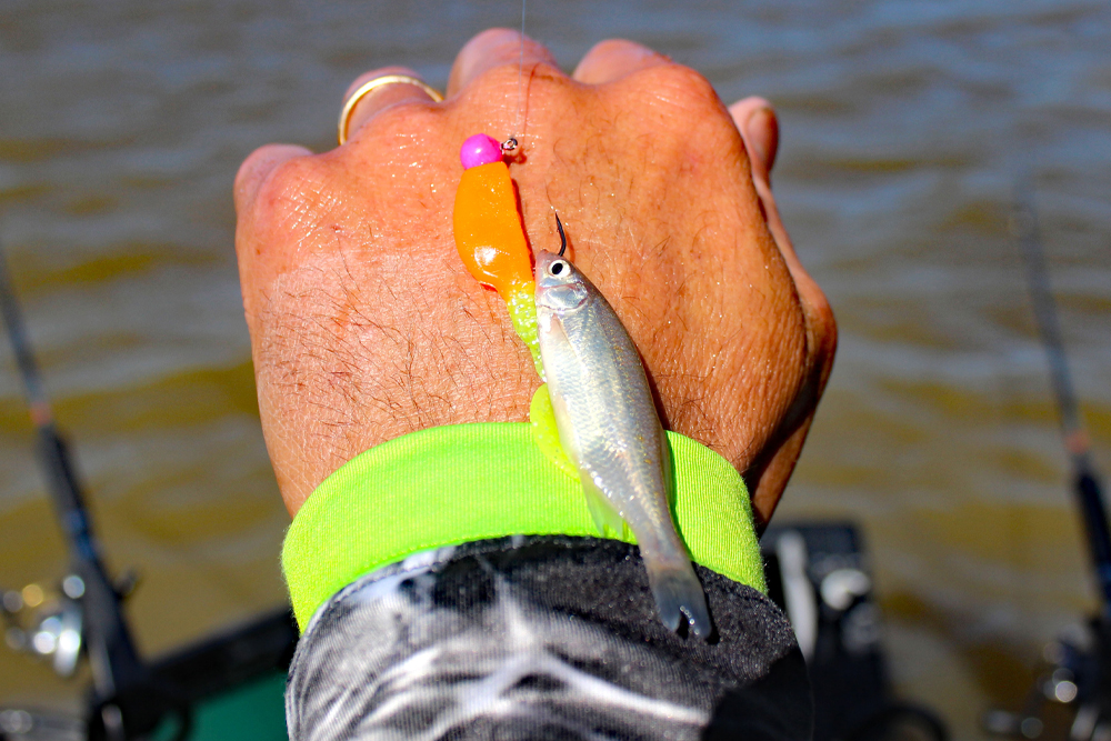 Articles and photos about Soft Baits for Bass Fishing by Brad Wiegmann