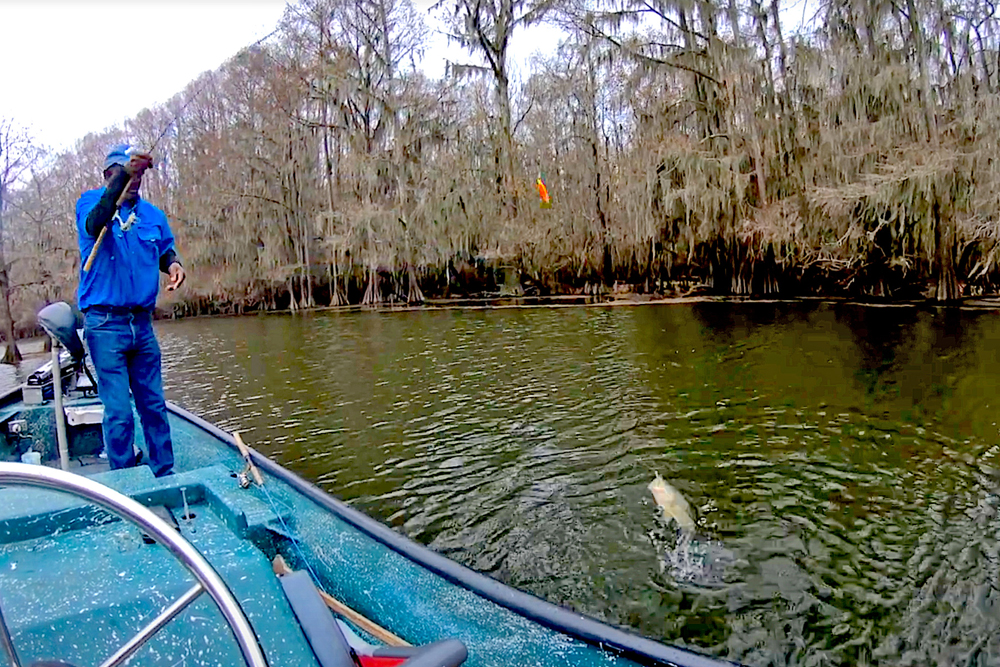 Deep channels like this one are prime fishing spots for catching February crappie at Caddo Lake. (Photo: Keith Lusher)