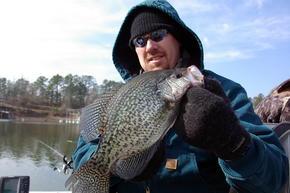 A fishing trip during the prespawn period may require anglers to bundle up against the cold, but slab crappie like this often fall to savvy late-winter anglers