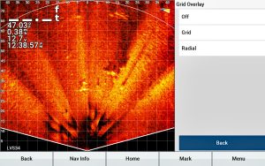 LIS grid lines are horizontal and vertical lines overlaying the sonar image. (Photo by Brad Wiegmann)