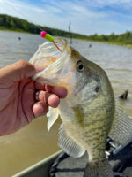 Jay Terry’s “Rockhill” hand-tied jigs fool big crappies at Truman Lake in west-central Missouri. 