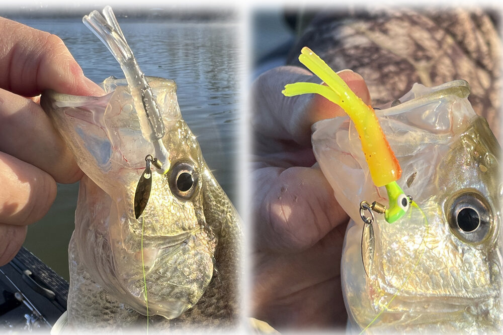 Nobody knows EXACTLY what a fish sees… lure colors vary and are altered dramatically by water clarity and depth. So, is lure color still important or does lure presentation usually rule the day?