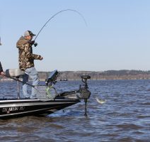 Lake D’Arbonne in Louisiana is a popular stop for professional crappie tournaments. Its fish can be spooky, but they offer the chance for a big stringer of quality crappie. Mathew Rogers pulls a fish from submerged cover. (Photo: Tim Huffman)