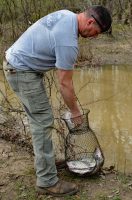 This creek water is muddy, but it hasn't stopped Shawn Hines from loading up a basket with nice crappie. (Photo: Richard Hines)