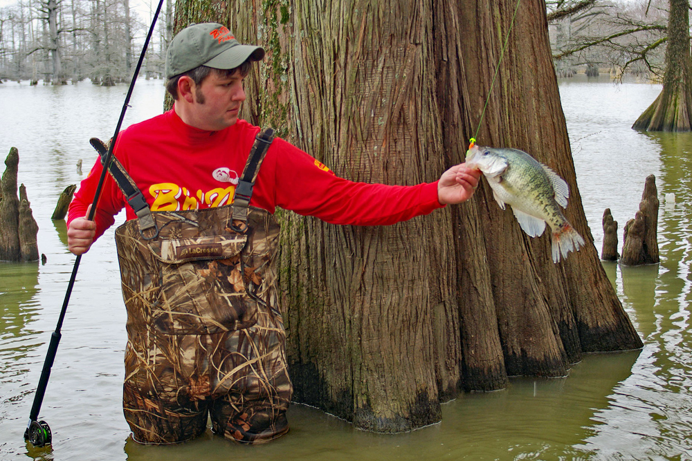 Crappie often spawn in water so shallow it’s difficult to get a boat to them. In this situation, wade fishing may be the best alternative. (Photo: Keith Sutton)