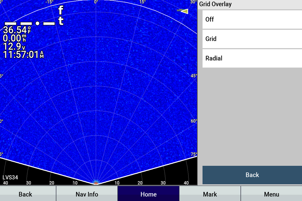 Garmin's Perspective View radial grids look like this without a sonar image.