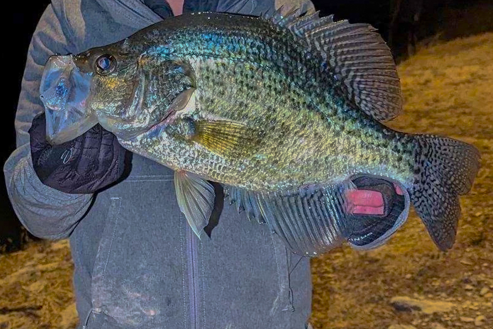 The new Kansas state record white crappie was 18 inches long with a 14-inch girth.
