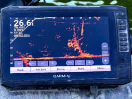 Isaacs doesn’t stare at his Garmin LiveScope all day, but he uses it to check cover for fish, paying close attention to their depths. After that he only glances at the graph. He focuses upon making precision casts to the cover, counting down his jig to the right depth and slowly retrieving his jig while watching his line. (Photo: Tim Huffman)