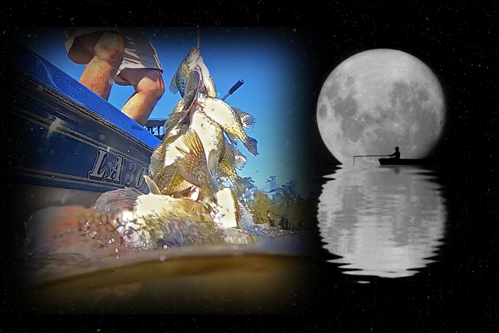 Many hunters and fishermen have their own theories of how the moon phase affects the wild creatures they seek. Tim Bye practices patience after the full moon and is rewarded.