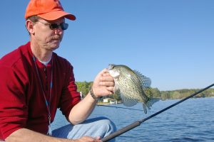 Fishing around boat docks on Arkansas’ Lake Hamilton will usually produce lots of good eating-size crappie for visiting anglers, like this one caught by Lewis Peeler of Vanndale, Arkansas. (Photo: Keith Sutton)