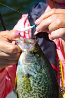 A swimming jig body with firetail is very effective on Conneaut.