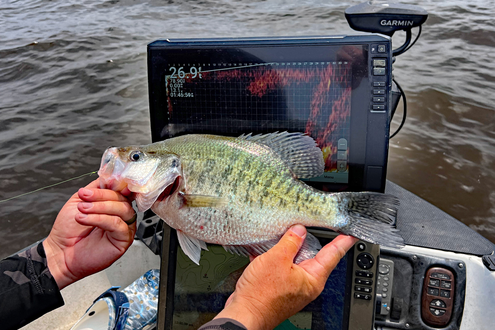 Mississippi fisheries biologists say their research indicates that forward-facing sonar users may be having a direct impact on crappie populations in its four most popular lakes – Grenada, Sardis, Enid and Arkabutla.