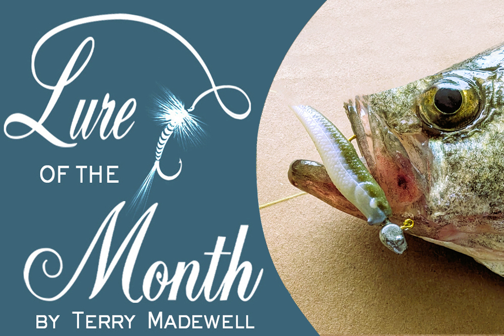 Lure of the Month: Berkley Gulp! Alive! Minnow, by Terry Madewell