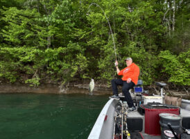 Kent Driscoll swings a crappie into the boat with a 7.5-foot B’n’M rod. Driscoll convinved the crappie to hit in clear water with 4-pound-test line and a small jig. (Photo: Tim Huffman)