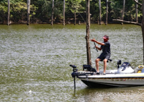 A hot weather crappie coming to the boat. Kevin McCarley says a fisherman can catch fish on visible cover, but with live imaging you see exactly how crappie react to a bait and can quickly find fish roaming between the wood. (Photo: Tim Huffman)