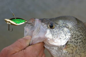 Fishing unconventional crappie catchers like this Reef Runner Cicada bladebait may be the key to success when hot-weather crappie refuse conventional offerings. (Photo: Keith Sutton)