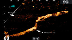 This live-image sonar (LIS) image is the hardest to interpret as the baitfish and fish are moving while the boat or transducer is also moving making it more challenging for the inexperienced LIS angler. (Image Capture by Brad Wiegmann)