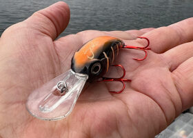 “Jenko crankbaits have great action and are a good choice,” says guide Rich Bay. “I’ll always have a pink with some color, like black or chrome. Blue and chrome has been good this year. And I don’t know why, but combination colors that have orange are good.”