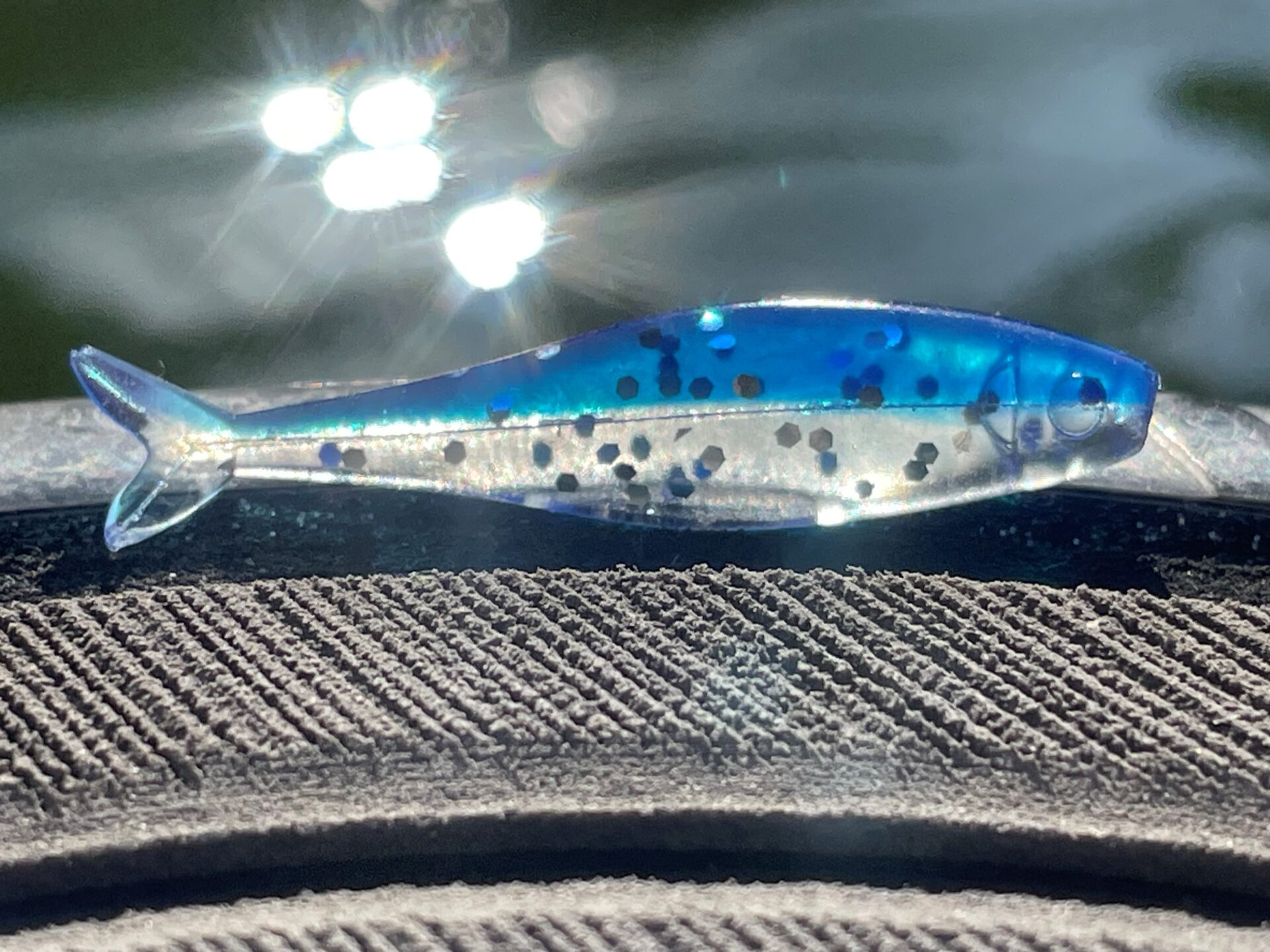 Live Roam'R's with multiple color patterns can quickly be reversed and will still swim properly because of lure symmetry. (Photo Bobby Garland Lures)