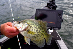 Like many crappie anglers these days, Capt. Corey Thomas has come to rely on his Garmin Livescope to locate and catch deep-water crappie on Dale Hollow Lake. (Photo: Richard Simms)