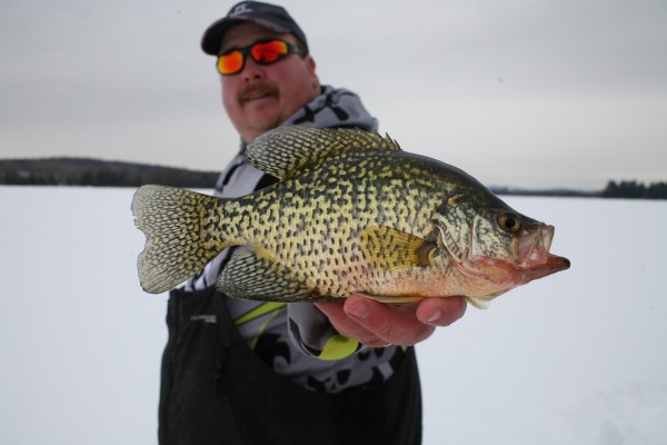 when a crappie comes out of the black do not change what you’re doing. If jigging, continue to jig; if holding it still, remain still. Fish like this one will often take it.