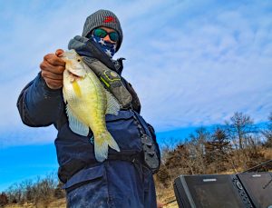 Boom Times for Kansas Crappie - Crappie Now
