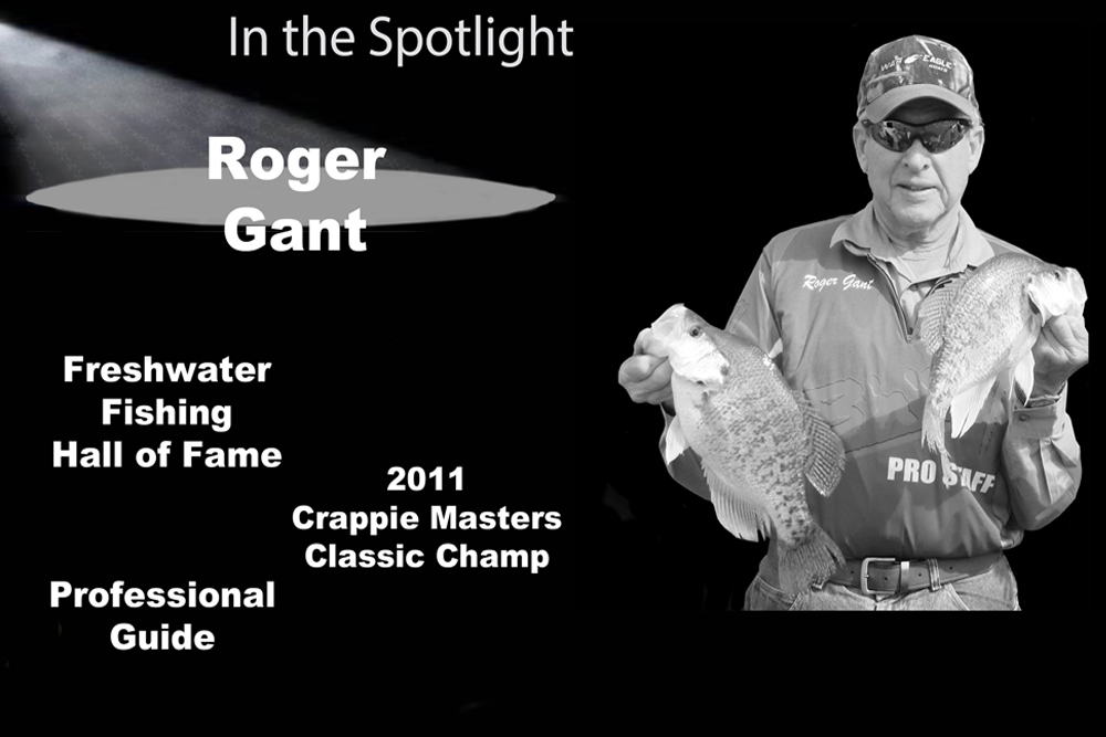 In the Spotlight: Roger Gant