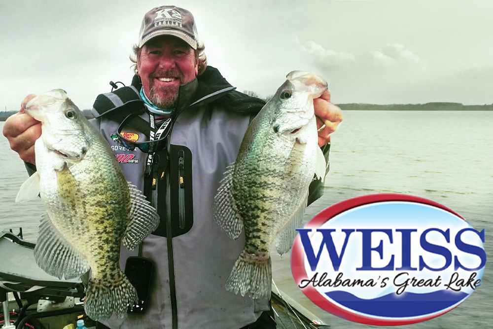 Weiss Lake Fall Crappie Action, by Tim Huffman