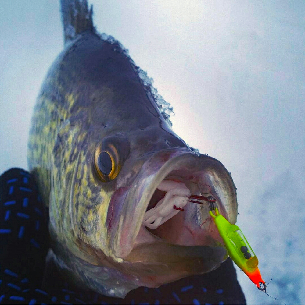 Power Fishing Crappie!  The Rapala Slab Rap is very effective for