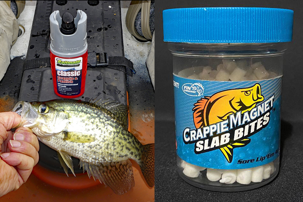 Making Sense of Crappie Scents, by Ed Mashburn