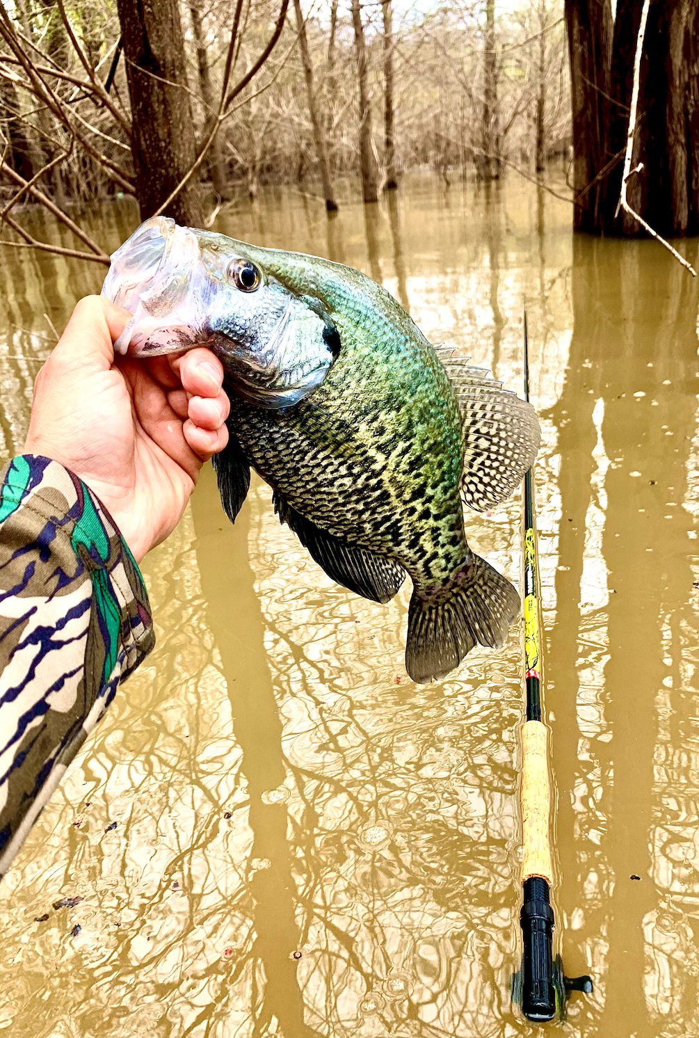 North Mississippi Wade Fishing, by John David Santi - Crappie Now