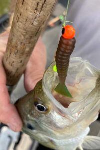 Anglers can rig TopHat jigs so the flat tail works vertically or horizontally, provided two different actions and presentations.