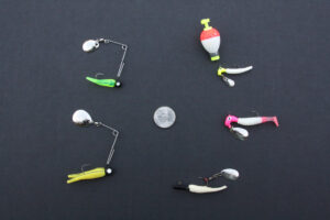  50 Assorted 1.5 Beetle Spin Bodies Beetles Crappie Fishing  Lures Perch Baits : Sports & Outdoors