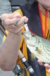 Unhooking Beetle Spin from crappie