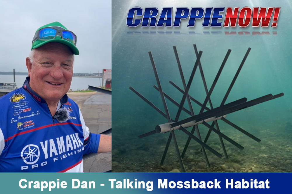 CN How To: Crappie Dan and Kris Mann put together a Mossback