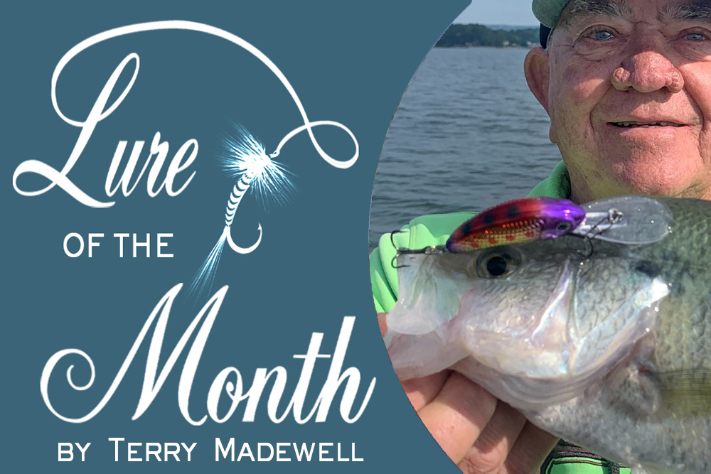 Lure of the Month