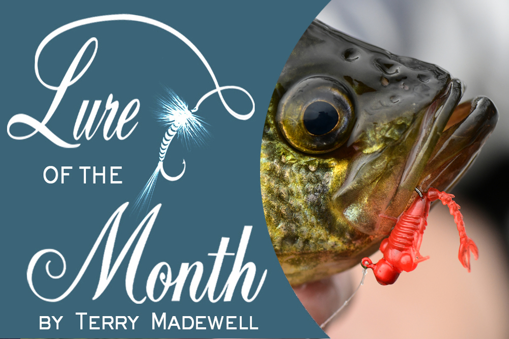 Lure of the Month: Z-Man Micro Finesse LarvaZ, by Terry Madewell - Crappie  Now