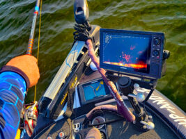 Garmin Livescope showing trees coming into focus and crappie hugging the bases. (Photo: Scott MacKenthun)