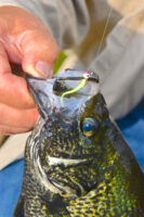 A slab crappie caught on a Wedgee. (Photo: Mike Gnatkowski)