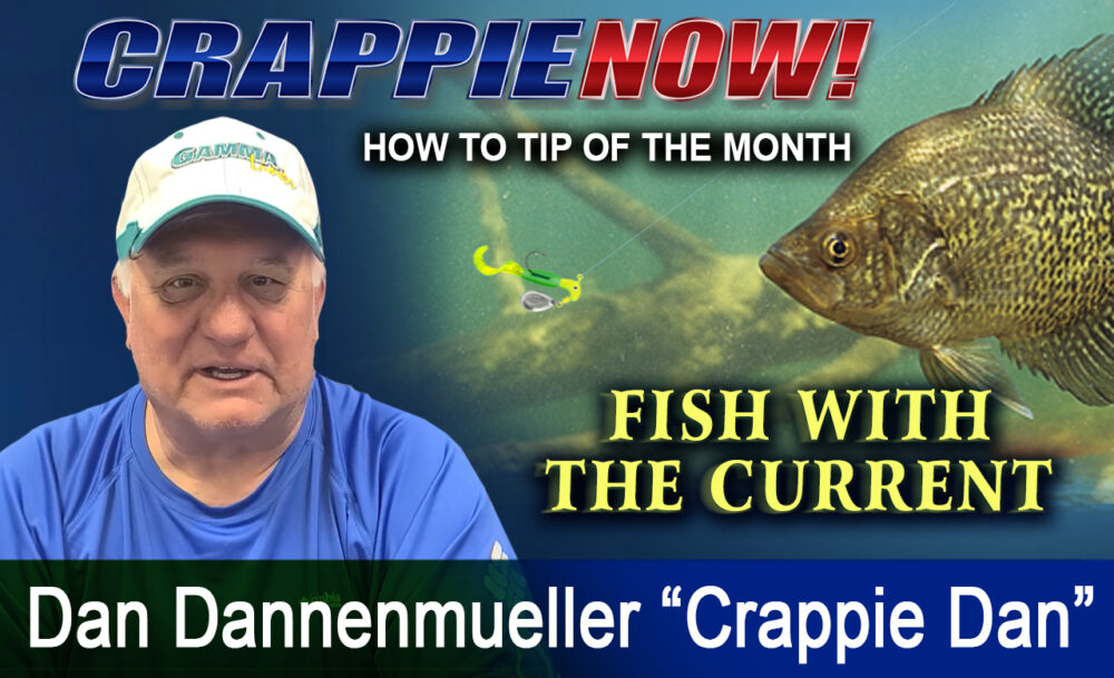 Crappie NOW How To 
