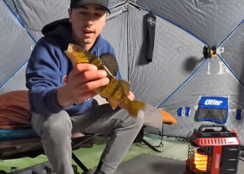 In some areas this year, the ice was slow to thicken up. But by now most hard water anglers are exploring. Nick Linder shares some of his favorite lures when fishing early ice.