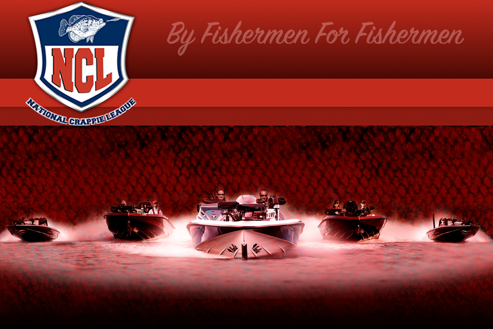 NCL header image