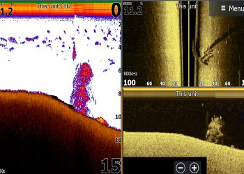 How sharp or distinct a brush piles looks on sonar can depend on your sonar imaging and settings. Generally lower kHz settings scan a larger area but with less detail.