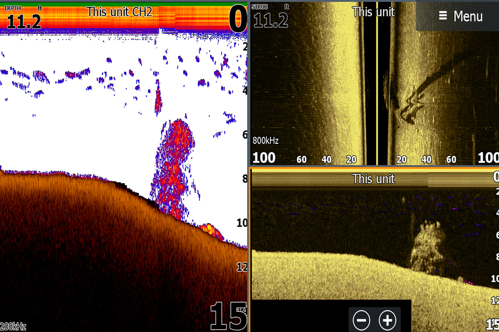 How sharp or distinct a brush piles looks on sonar can depend on your sonar imaging and settings. Generally lower kHz settings scan a larger area but with less detail.
