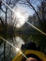 One of the greatest attractions of kayak fishing is the peace and quiet. There are no rumbling outboard engines or obnoxious gas fumes to invade your space, allowing anglers to soak in the beauty of nature. 