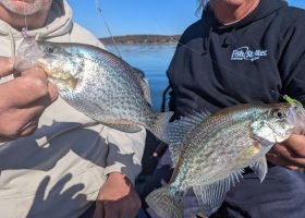 The color of the lure matters, but when size and profile are in sync, crappies are often caught on different colors at the same time. 