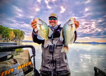 Healthy crappie of both black and white species are prolific in Weiss Lake. For Lee Pitts, it’s just another day at the office. With decades of experience fishing Weiss, Lee prides himself on relying on his knowledge over forward facing sonar to put fish in the boat.