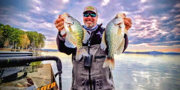 Healthy crappie of both black and white species are prolific in Weiss Lake. For Lee Pitts, it’s just another day at the office. With decades of experience fishing Weiss, Lee prides himself on relying on his knowledge over forward facing sonar to put fish in the boat.